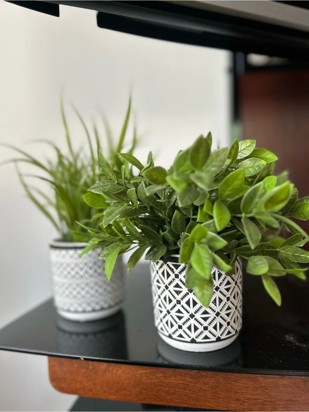 Black and White Patterned Ceramic faux plants  - Set of 2